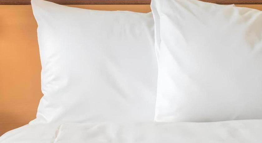 Radisson Hotel Austin - University Zewnętrze zdjęcie